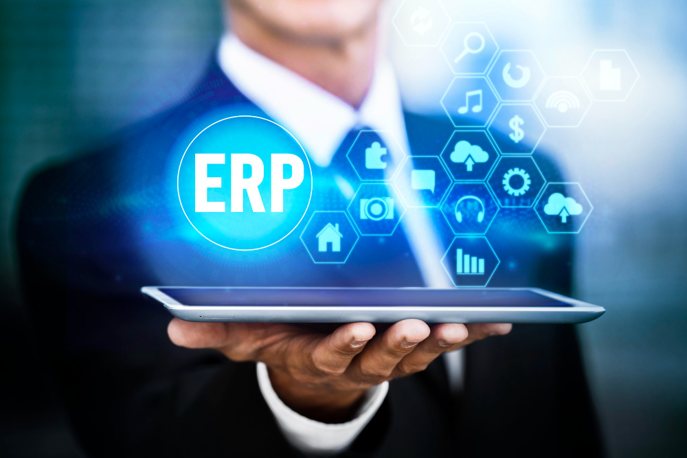 ניהול נתונים עסקיים במערכת ERP